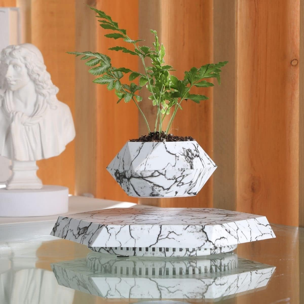 Levitation Bonzai Planter