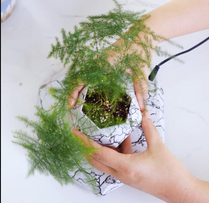 Levitation Bonzai Planter