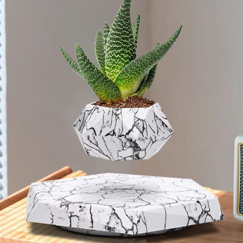 Levitation Bonzai Planter